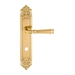 Дверная ручка Extreza 'BONO' (Боно) 328 на планке PL02, полированное золото (wc)