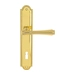 Дверная ручка Extreza 'PIERO' (Пиеро) 326 на планке PL03, полированное золото (key)