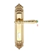 Дверная ручка Extreza 'DANIEL' (Даниел) 308 на планке PL02, полированное золото (cyl)
