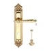 Дверная ручка Extreza 'DANIEL' (Даниел) 308 на планке PL02, полированное золото (wc)