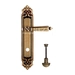 Дверная ручка Extreza 'LEON' (Леон) 303 на планке PL02, матовая бронза (wc)