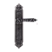 Дверная ручка Extreza 'LEON' (Леон) 303 на планке PL02, античное серебро