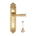 Дверная ручка Extreza 'LEON' (Леон) 303 на планке PL02, полированное золото (wc)