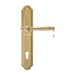 Дверная ручка Extreza 'DANIEL' (Даниел) 308 на планке PL03, полированное золото (cyl)