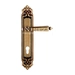 Дверная ручка Extreza 'LEON' (Леон) 303 на планке PL02, матовая бронза (cyl)