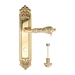 Дверная ручка Extreza 'GRETA' (Грета) 302 на планке PL02, полированное золото (wc)