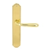 Дверная ручка Extreza 'ALDO' (Альдо) 331 на планке PL01, полированное золото (PASS)