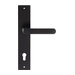 Дверная ручка Extreza Hi-Tech 'AQUA' 113 на планке PL11, черный (cyl)