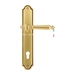 Дверная ручка Extreza 'DANIEL' (Даниел) 308 на планке PL03, французское золото (cyl)