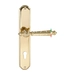 Дверная ручка Extreza 'DANIEL' (Даниел) 308 на планке PL01, полированное золото (cyl)
