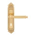 Дверная ручка на планке Melodia 353/229 'Regina', полированная латунь (key)