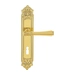 Дверная ручка Extreza 'PIERO' (Пиеро) 326 на планке PL02, полированное золото (key)