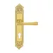 Дверная ручка Extreza 'PIERO' (Пиеро) 326 на планке PL02, полированное золото (cyl)