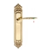 Дверная ручка Extreza 'CALIPSO' (Калипсо) 311 на планке PL02, полированная латунь (key)