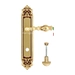 Дверная ручка Extreza 'EVITA' (Эвита) 301 на планке PL02, французское золото (wc)