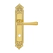 Дверная ручка Extreza 'PIERO' (Пиеро) 326 на планке PL02, полированное золото (wc)