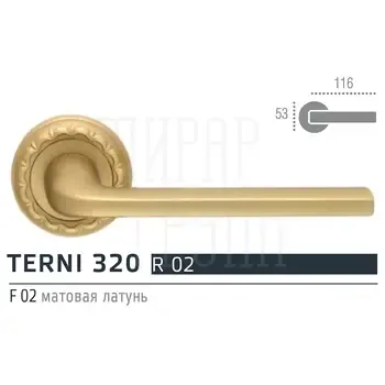 Extreza TERNI (Терни) 320 дверная ручка на розетке R02