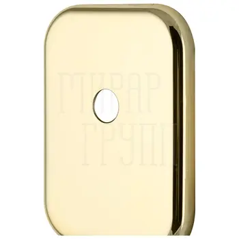 Декоративная Armadillo (Армадилло) Квадратная накладка на цилиндр со штоком BK-DEC SQ (ATC Protector 1)-2 Золото