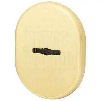 Декоративная накладка Armadillo (Армадилло) на сувальдный замок со шторкой PS-DEC CT (ATC Protector 1) золото