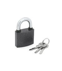 Замок навесной Palladium 303F-50