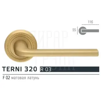 Дверная ручка Extreza TERNI (Терни) 320 на розетке R03