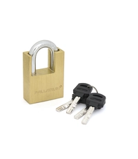 Замок навесной Palladium 505B-50