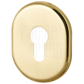 Декоративная накладка Armadillo (Армадилло) на цилиндр ET-DEC (ATC Protector 1) золото