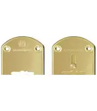 Накладки Guardian (Гардиан) сувальдные латунь ГЛ 21 /пара/ объемная /123:471/