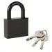 Замок Punto (Пунто) навесной PK-1550 3 key диск.ключ, черный