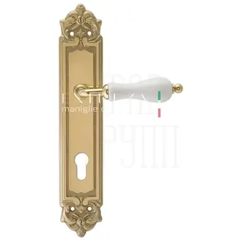 Дверная ручка Extreza 'DANA' (Дана) 305 на планке PL02 полированное золото (cyl)