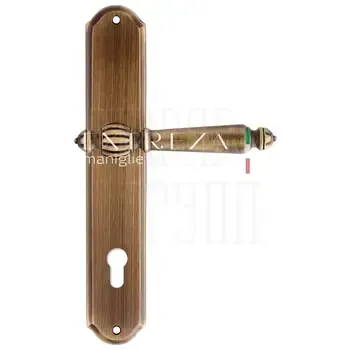 Дверная ручка Extreza "DANIEL" (Даниел) 308 на планке PL01