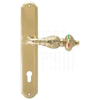 Дверная ручка Extreza 'TESLA' (Тесла) 315 на планке PL01 полированное золото (cyl)