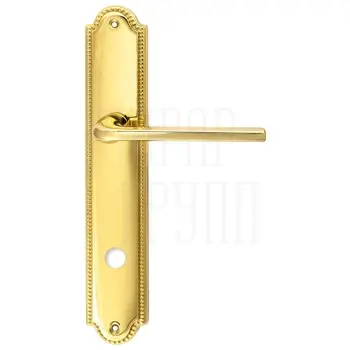 Дверная ручка Extreza 'TERNI' (Терни) 320 на планке PL03 полированное золото (wc)