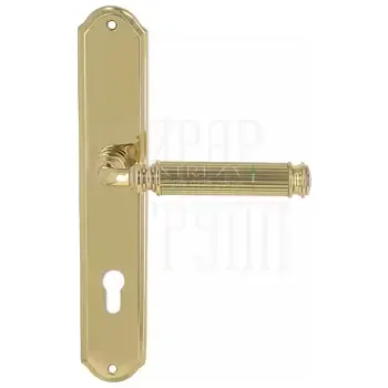 Дверная ручка Extreza "BENITO" (Бенито) 307 на планке PL01