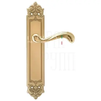 Дверная ручка Extreza 'NINA' (Нина) 317 на планке PL02 полированное золото