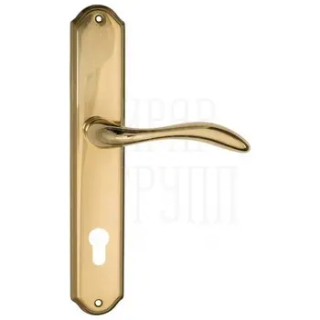 Дверная ручка Venezia 'ALESSANDRA' на планке PL02 полированная латунь (cyl)
