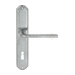 Дверная ручка Extreza 'TERNI' (Терни) 320 на планке PL01, матовый хром (key)