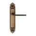 Дверная ручка Extreza "TERNI" (Терни) 320 на планке PL02, матовая бронза