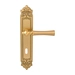 Дверная ручка на планке Melodia 283/229 'Carlo', матовая латунь + латунь (key)