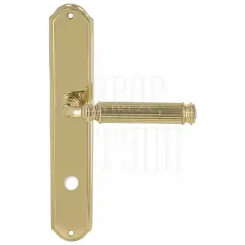 Дверная ручка Extreza "BENITO" (Бенито) 307 на планке PL01