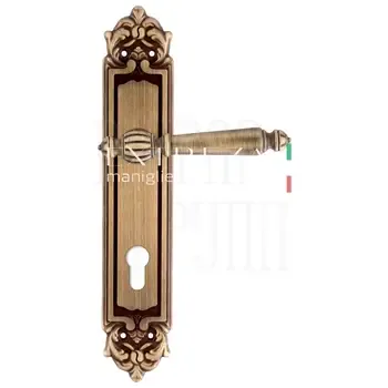 Дверная ручка Extreza "DANIEL" (Даниел) 308 на планке PL02