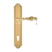 Дверная ручка Extreza 'EVITA' (Эвита) 301 на планке PL03, полированное золото (cyl)