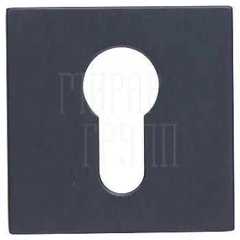 Накладка на ключевой цилиндр SILLUR CL-L (антибакт. покрытие) Платиново-серый