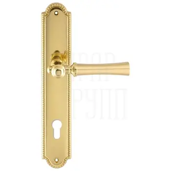 Дверная ручка Extreza 'DEZI' (Дези) 309 на планке PL03 полированное золото (cyl)