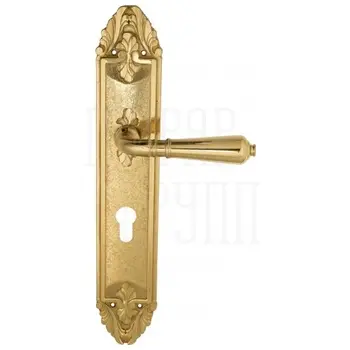 Дверная ручка Venezia 'VIGNOLE' на планке PL90 полированная латунь (cyl)