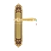 Дверная ручка Extreza 'DANIEL' (Даниел) 308 на планке PL02, французское золото