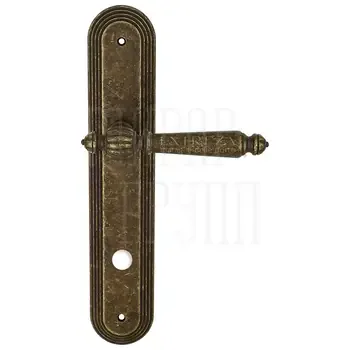 Дверная ручка Extreza "DANIEL" (Даниел) 308 на планке PL05