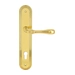 Дверная ручка Extreza "CARRERA" (Каррера) 321 на планке PL05, полированное золото (cyl)