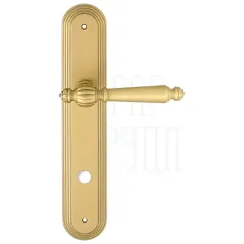 Дверная ручка Extreza "DANIEL" (Даниел) 308 на планке PL05