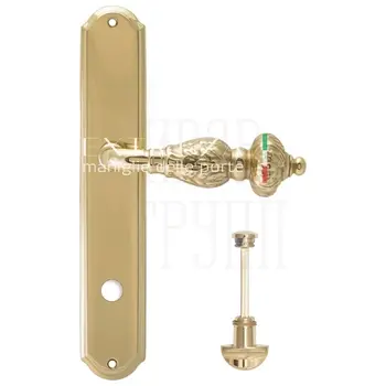 Дверная ручка Extreza 'TESLA' (Тесла) 315 на планке PL01 полированное золото (wc)